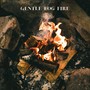 Gentle Log Fire