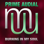 Burning In My Soul (Radio Edit)