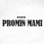 Promiň mami (Explicit)