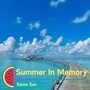 Summer In Memory