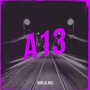 A13