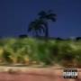 BLACK PALMS (Explicit)