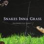 Snakes inna grass (feat. Young C)