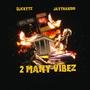 2 MANY VIBEZ (Explicit)