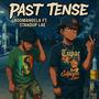 Past Tense (Explicit)