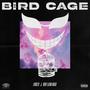 Bird Cage (Explicit)