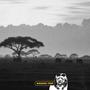 Savane Trip (feat. 3GT, Mendoza & Poizon)