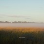 Beyond