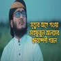 Miche Jibon