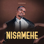 Nisamehe