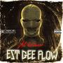 EST GEE FLOW (Explicit)