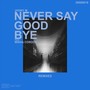 Never Say Goodbye Remixes