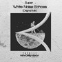 White Noise Echoes