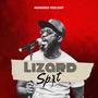 Lizard Spit