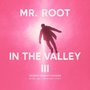 In The Valley Remixes