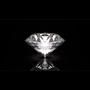 Diamond (feat. Jay Alexander) [Explicit]