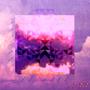 Jicama (SC Magenta Sundown Edit)