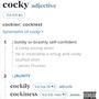 Cocky (Explicit)