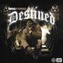 Destined (Explicit)