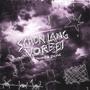 SCHON LANG VORBEI (feat. zayne) [Explicit]