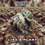 Like A Plant (Explicit)