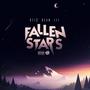 FALLEN STARS