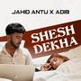 Shesh Dekha
