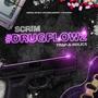 DRUGFLOW 2 (Explicit)