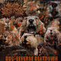 BUC-EEVERSE BEATDOWN (Explicit)