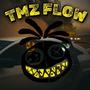 TMZ FLOW (Explicit)