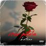 rose petals (Explicit)