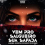 Vem Pro Salgueiro Sua Safada (Explicit)