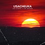 Usacheuka (feat. Mr Brown)