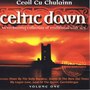 Celtic Dawn, Vol 1