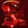 MAMBA (Explicit)