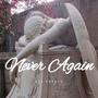 Never Again (Explicit)