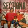 Section 8 (Radio Edit) [Explicit]