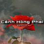 CÁNH HỒNG PHAI (Rap Version) [Explicit]