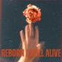 Reborn / Still Alive