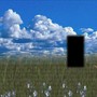 NEPETA LUV 2 (Explicit)