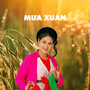 Mưa Xuân