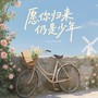 愿你归来仍是少年