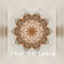 Trip to India