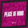 PEACE OF MIND (Explicit)