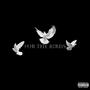 For The Birds (Explicit)