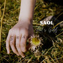 Fool's Gold (Explicit)