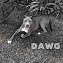 Dawg (Explicit)