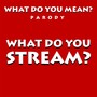 What Do You Mean? Parody What Do You Stream?