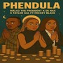 Phendula