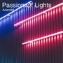 Passion of Lights